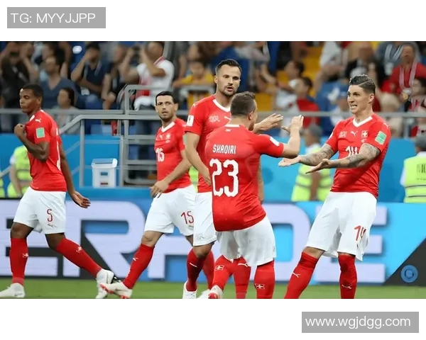 瑞典与瑞士精彩进球回放全程回顾与分析