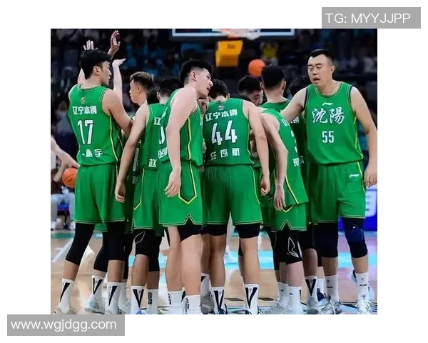 辽宁对阵广东的精彩比赛直播在哪个频道观看详解